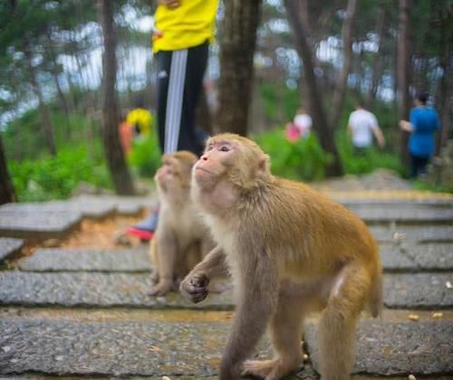中国改名“最成功”的景区,改名后声名大噪,旅游年收入200亿
