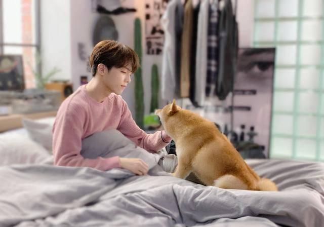 『围观』陈立农分享工作日常引围观,昔日的男子组合如今表现却不同