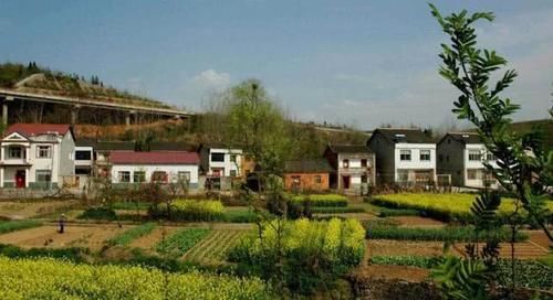  「城里人」农村这4大“怪现象”，只有村里人明白？城里人可能不