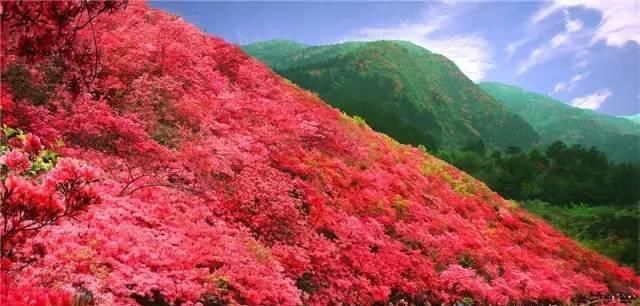 「慢慢」中国212个AAAAA景区全在这里, 存起来, 慢慢走完!