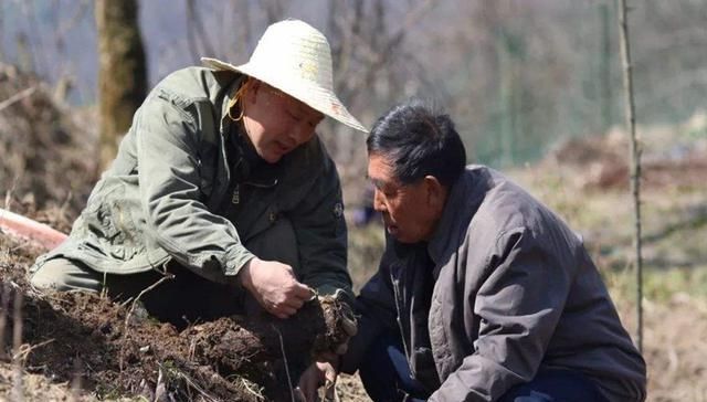  #利润#亩利润7万，农民种了就赔，可依然有人挣钱，秘诀是什么