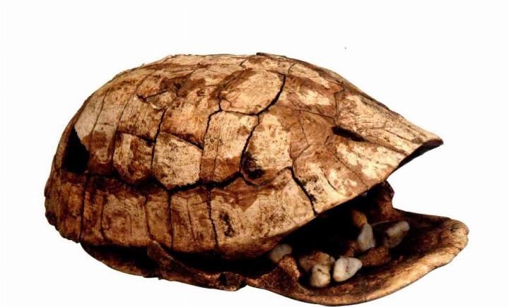 重磅！河南发现8000年历史的新石器时代遗址，又一个超级景区将诞