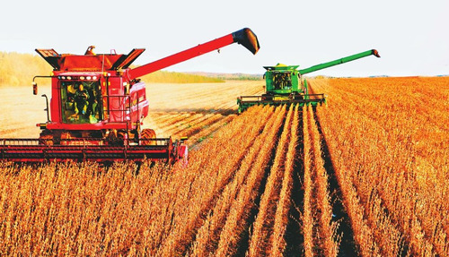 以下4种补贴大部分农民可以领，别忘记领了，记住时间早做准备