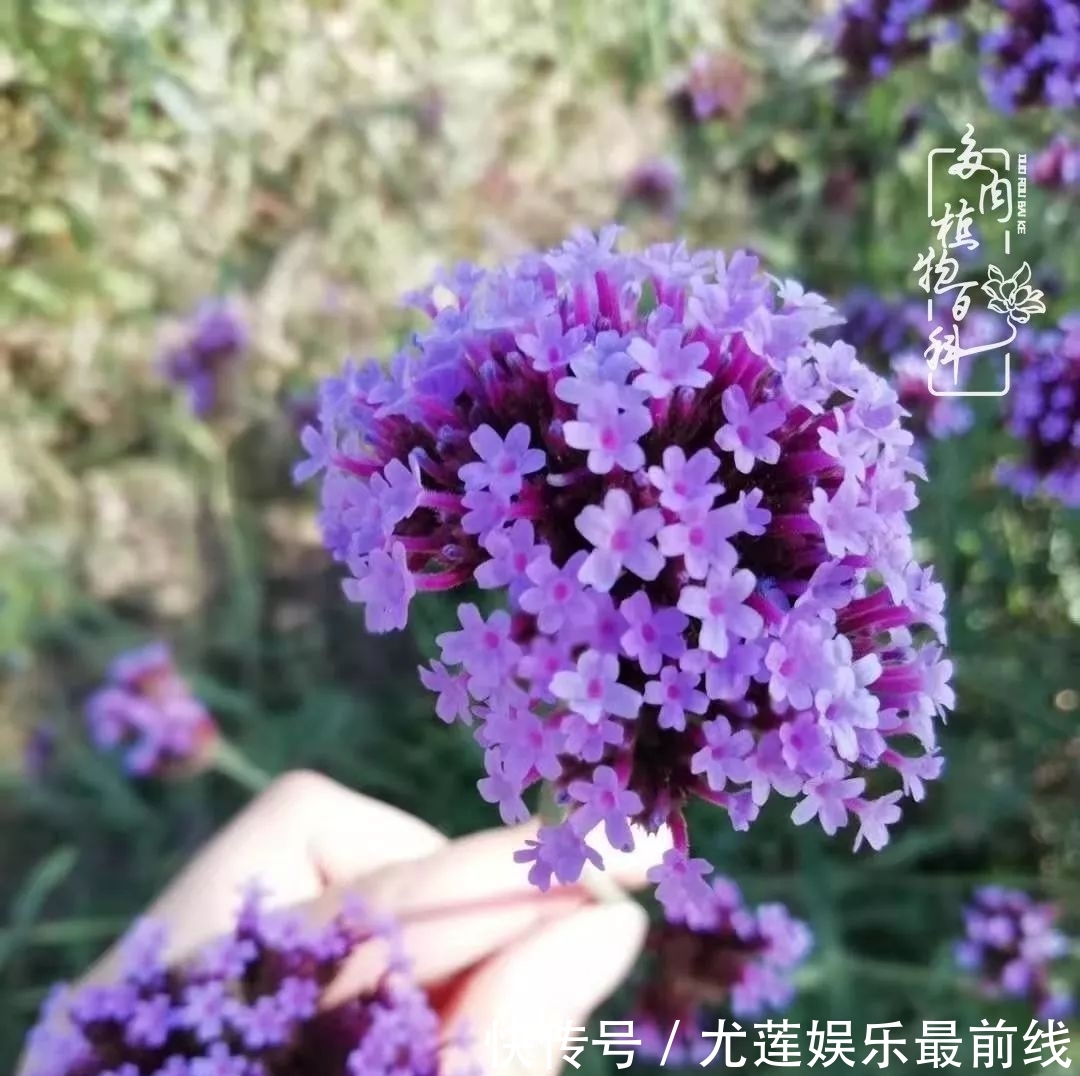  『那种』我爱的，就是你的存在！只要努力该来的都在路上！