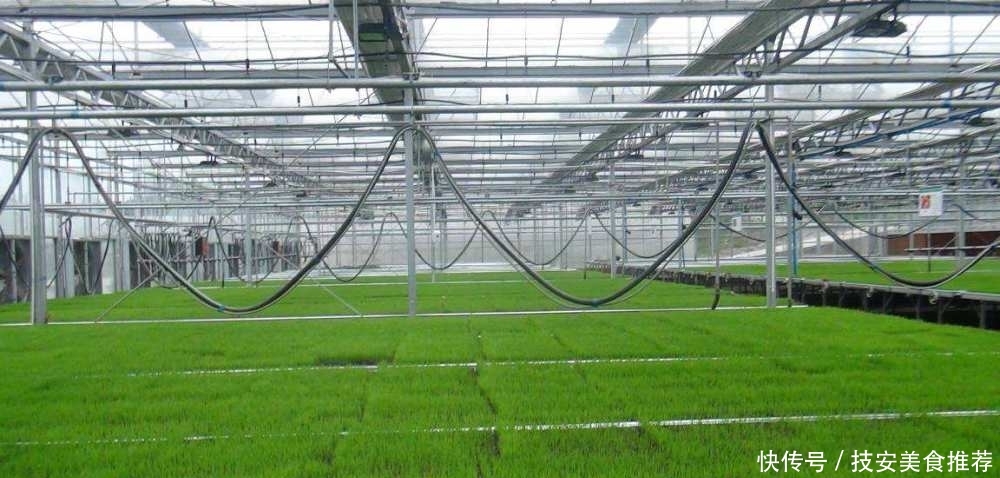  大棚■盖大棚穷三年，农民抱怨不赚钱，以色列的温室大棚为啥这