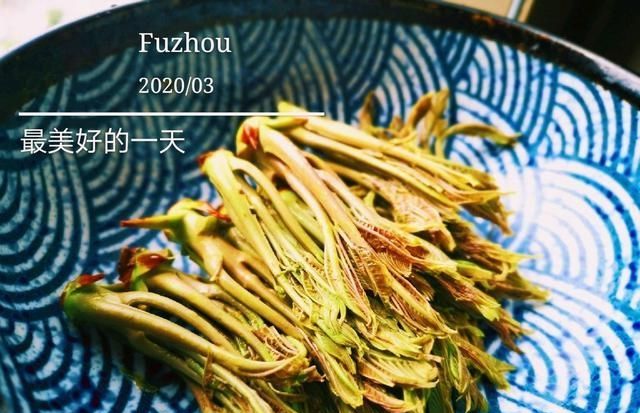  『吃法』春天应该吃什么？枝头才露尖尖角的香椿成为最佳选择