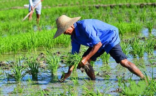  道理@俗语“有钱不买半年闲”是啥道理？老祖宗的话还是要听！