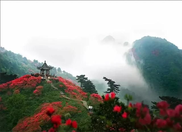 春季花开哪家强？云南16州市最美赏花点看过来！