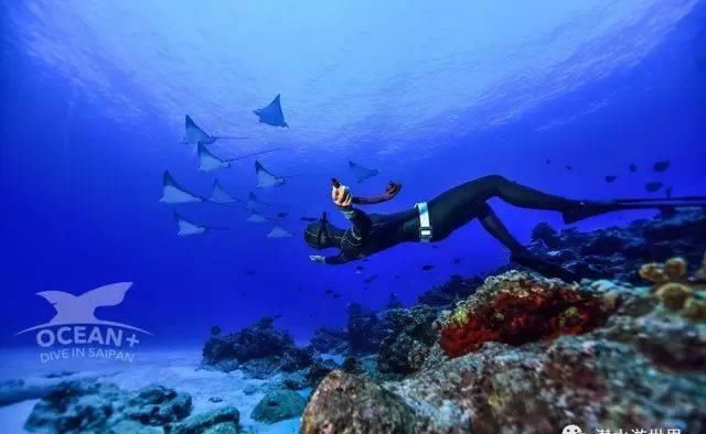 这个唯一免签的美国领土，刚刚缩短了免签停留期！不潜水还等啥呢