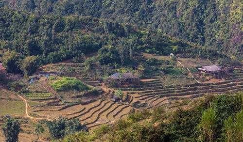  [空间]宅基地有偿退出划算吗？专家：未来宅基地有较大升值空间