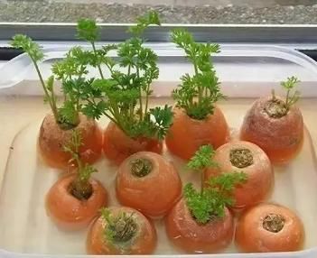 计划■【云种植】春暖花开,你还欠孩子一个春天计划~