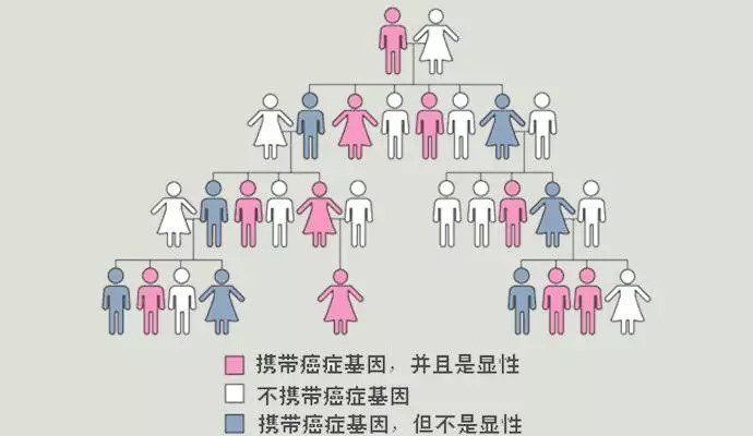 权威科普 | 听说癌症会“传染”?到底是真是假?