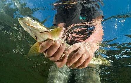 世界上最干净的湖泊:深达112米,却还是可以一眼看到湖底!