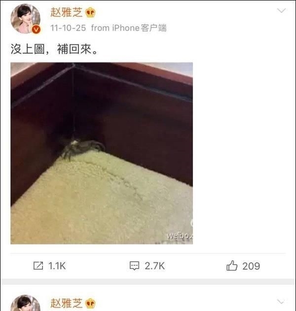 「友们」谁能想到赵雅芝表面优雅,背地里却是个铁憨憨…