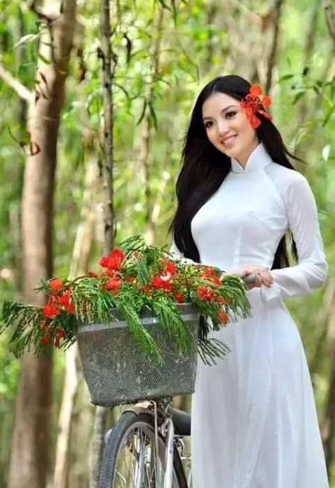  『中国旗袍』越南版旗袍美女，真好看！
