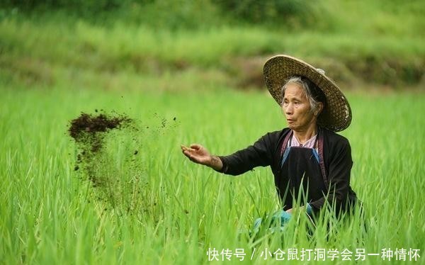  #给出#怎样把农民留在农村？国家给出答案，“三留”措施，可行