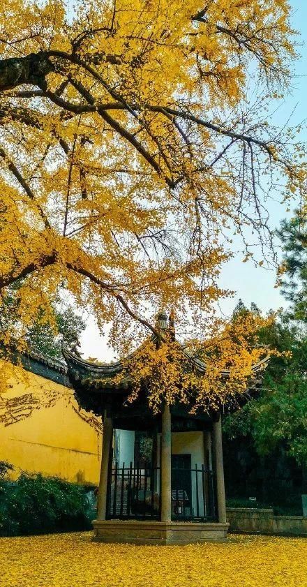 康熙乾隆两位皇帝分别六下江南，每次都必来这个古镇