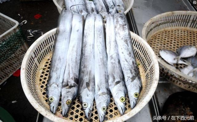 青岛海鲜早市，梭子蟹开始上市，价格逐渐走低，活蟹25元一斤