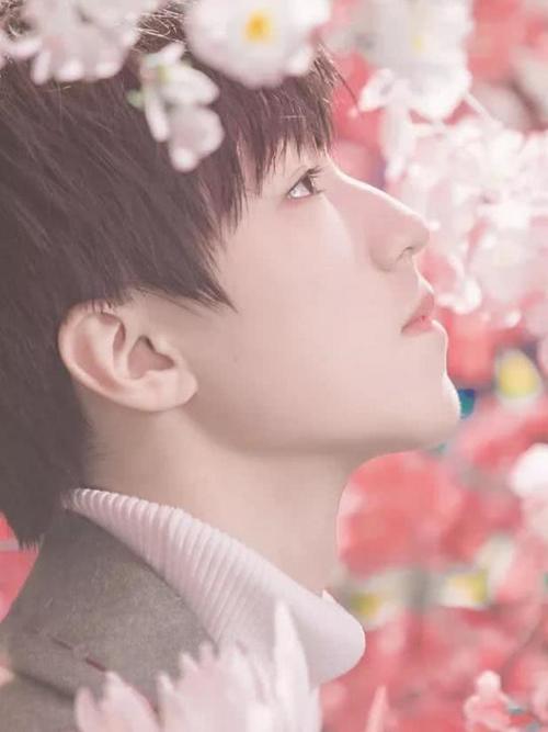 7位男星帅气侧颜照,我找王俊凯用了2秒,你找蔡徐坤用了多久