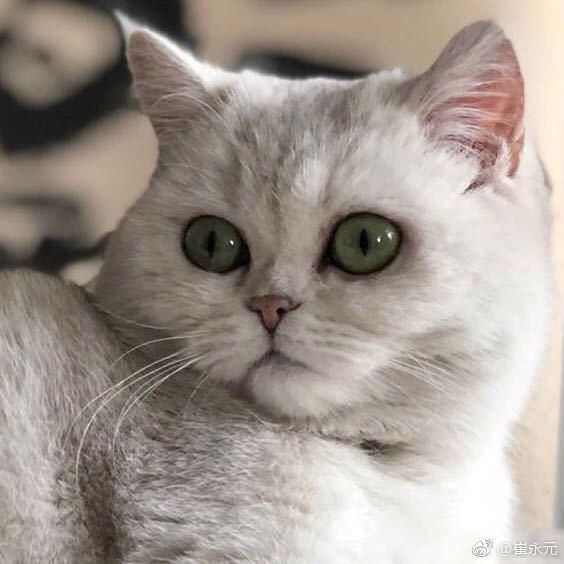 黄毅清回应遭爆料人起诉：有他婚外铁证，正等他起诉呢！