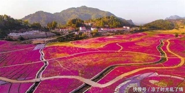 安徽最好玩的“10”大旅游景区，可以考虑去玩玩