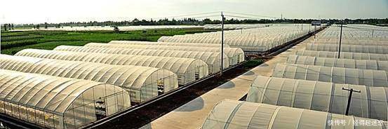 带农民迅速致富的5大“暴利”行业，不看不知道，一看吓一跳！