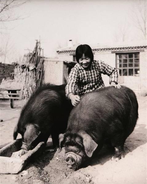 一组女知青珍贵老照片：养猪、喂羊、能种田，长相美丽又能干