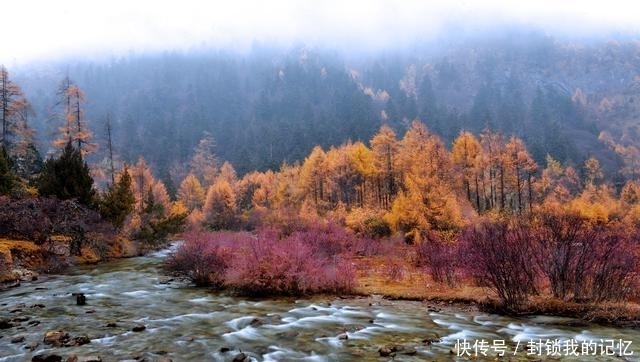 长安CS75 PLUS自驾游川西，高颜值除了红叶，还有驾控的愉悦