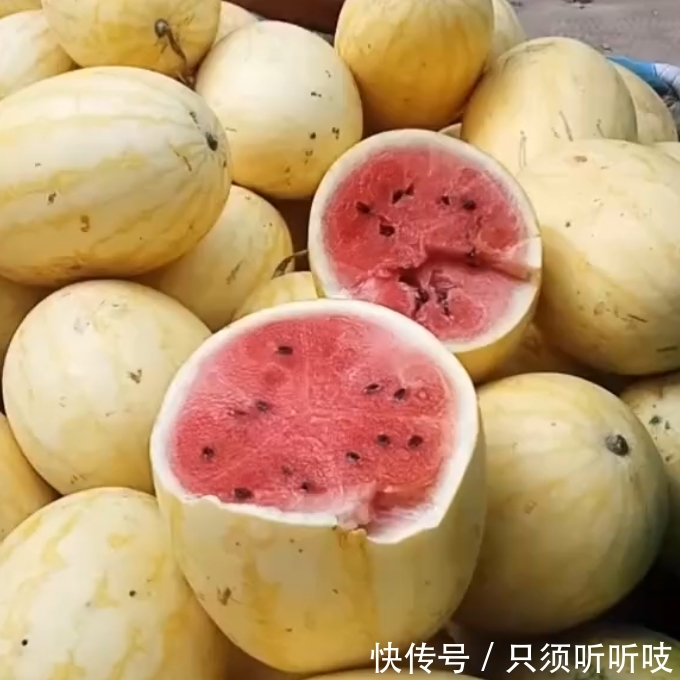 农民山上种植出的“黄金瓜”，亩产3千斤，每斤5元，年赚几十万！