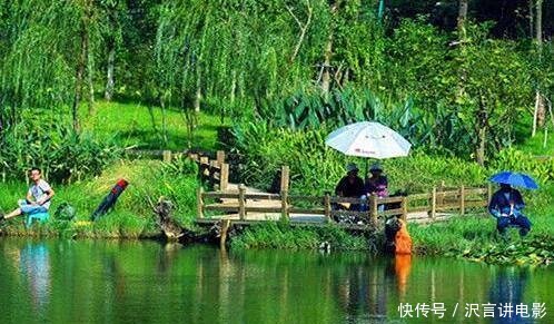  针对性@春天温度变了还没发现鱼情变了不做针对性的调整，难怪钓不上鱼