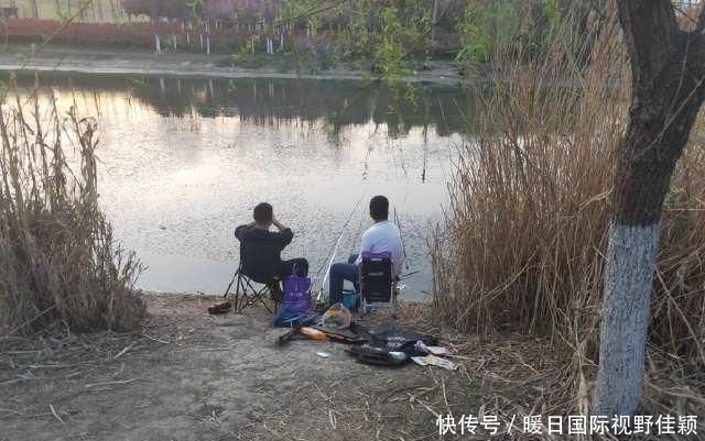 『气温突降』近几日天气突变!水温降、产卵停,重返大鲫、大鲤垂钓黄金期