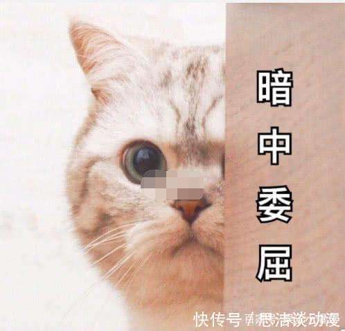 赵丽颖忍无可忍回应传闻，霸气置顶去年博文，直率性格也是没谁了