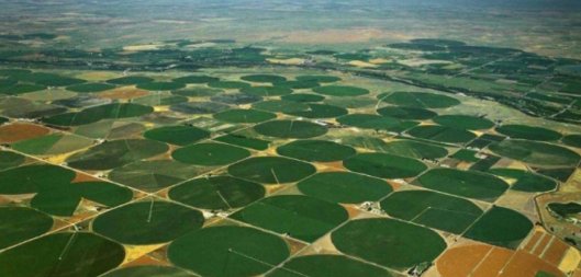  「中东国家」海水取之不尽，用来灌溉沙漠会怎样？看看中东国家