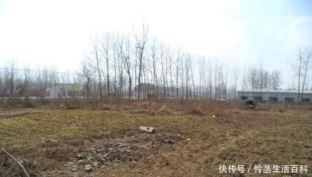 农民朋友注意,未来几年,这4种人将失去土地,大家一定要重视！