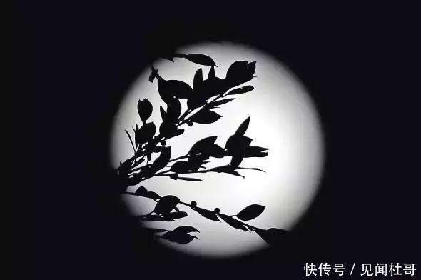 紧张吗？！冷空气今天就来，过山车式的温差你要扛住了~