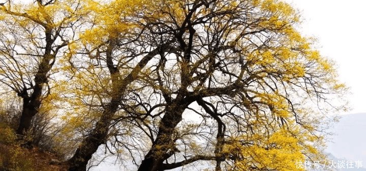 南太行深处400年的古堡, 藏在大山深处, 鲜少有游客!