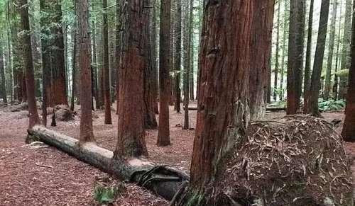 20张不可思议的照片，证明大自然无所不能！