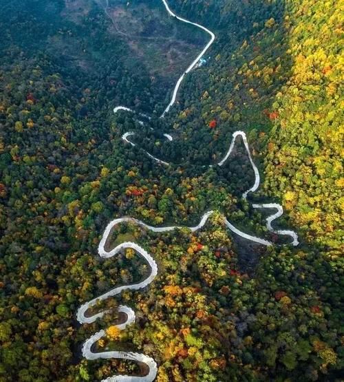 秦岭私藏2条自驾公路,秋季美成天堂,霸占北方最绚烂秋景