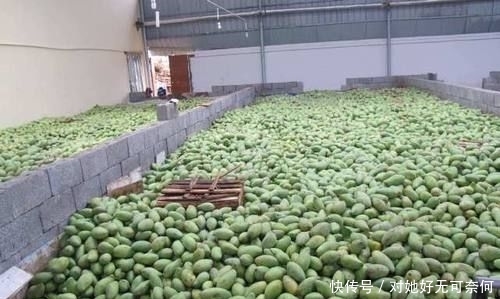  【水果】中国解巴铁“燃眉之急”，另一国“慌了”，称：为啥不