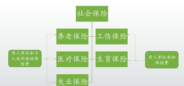  「医保」2019年还能不能补缴2018年6、7、8月的社保费呢？