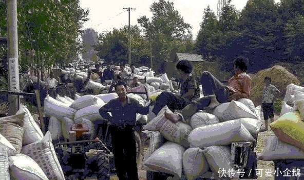 农民之前缴纳的公粮能不能折算成社保? 咋计算? 这事儿有说法了!