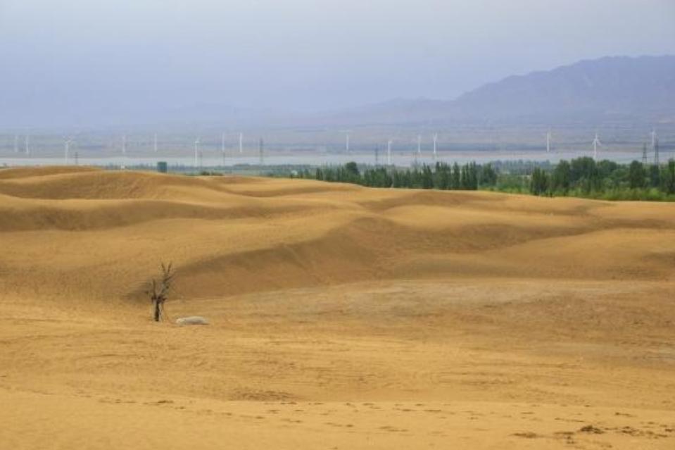 中国唯一被“保护”的沙漠，需靠人工填沙“续命”，只剩200多亩