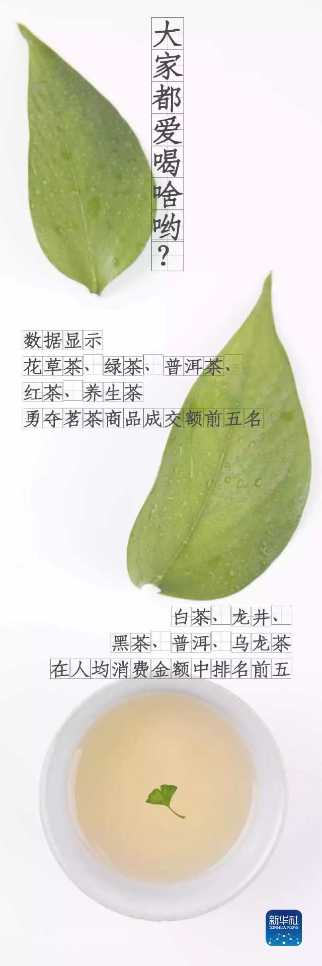  「春茶」万物生发，来杯春茶？