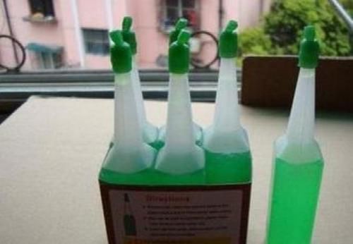  植物@划重点！绿萝变瀑布爬满墙，这4个原则，一养一个准新手也能成功