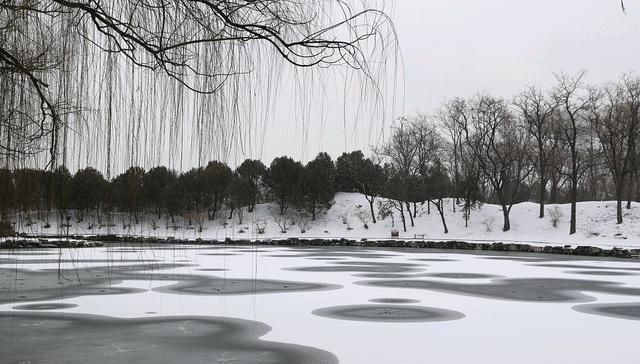  草原■「原创散文」三月的雪