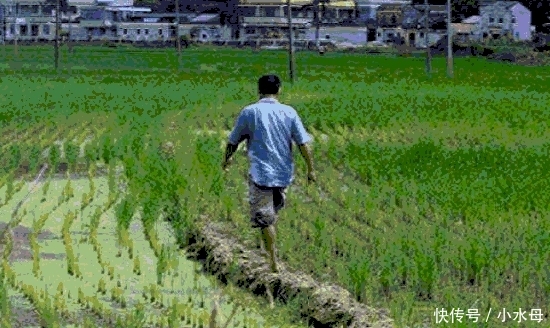 明年, 农村这2类人将全部被销户, 土地被收回, 你还有安全感吗?