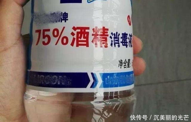  「密密麻麻」多肉生了蚧壳虫？密密麻麻头皮疼，用这2个小方法，一次杀除干净