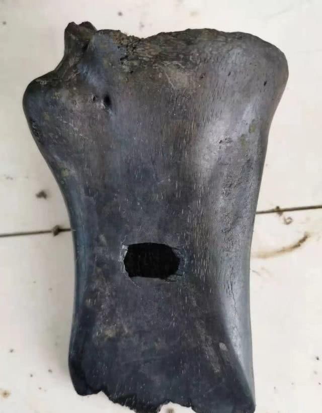 两条运河孕育、滋养出了桐乡这个千年风情古镇