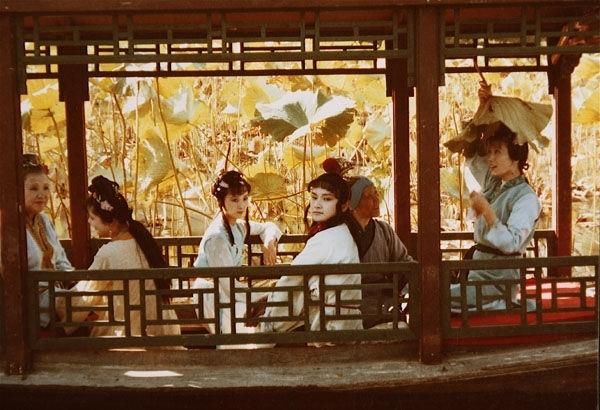 《红楼梦》里的大观园是清代文人的理想家园？