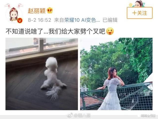 赵丽颖怀孕绯闻曝光，真爱还是炒作？